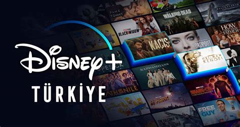 Disney türkiye distribütörü